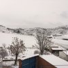 nevada